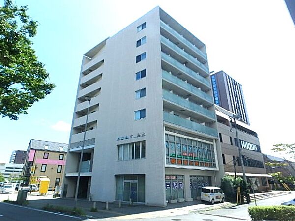 あむねす・ みと