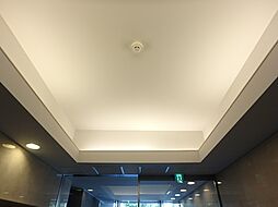 あむねす・ みと
