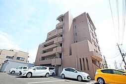 エヴァーグリーン