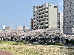 🉐敷金礼金0円！🉐プレスト水戸中央