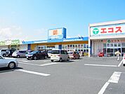 エコス
