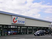 カワチ薬品ひたちなか店