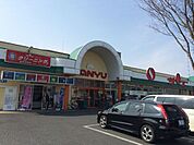 サンユー