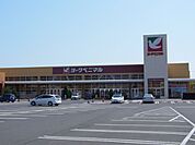 ヨークタウン(赤塚)