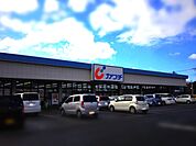 カワチ薬品佐和店