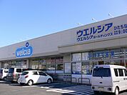 ウエルシア薬局ひたちなか田彦店