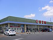 カスミ津田店