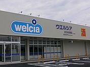 ウェルシアひたちなか堂端店