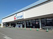 ドラッグストア