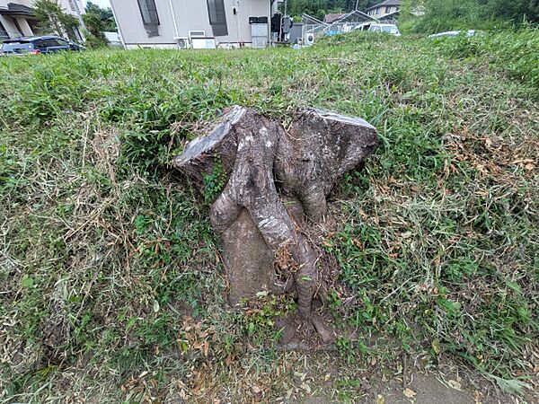 その他を拡大表示