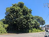 茨城県水戸市元石川町：物件画像