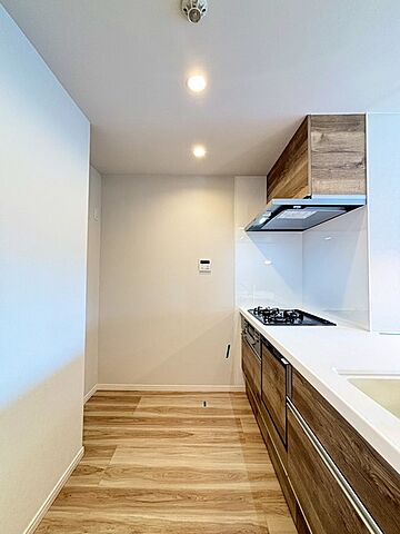 キッチン ダイアパレス花小金井 3階/-