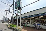 マルエツ東久留米店（600m）