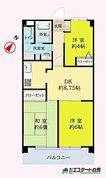 朝日パリオ武蔵藤沢 3DKの間取図画像
