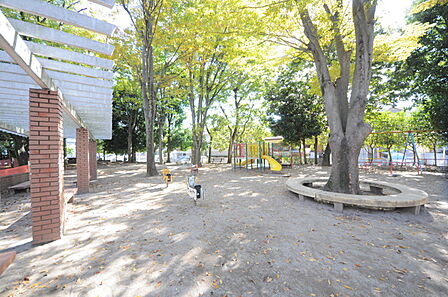 北野公園(所沢市)(250m)