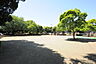 周辺：新郷公園（所沢市）（140m）