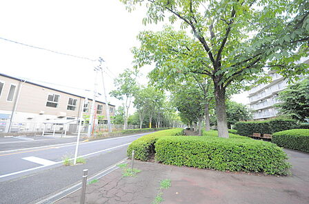 周辺の町並み(40m)