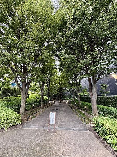 マンション敷地内