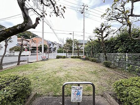 芝生の公園
