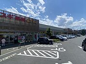 スギドラッグ フレスポ桶川店（740m）