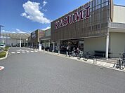 カスミ フードスクエア フレスポ桶川坂田店（520m）