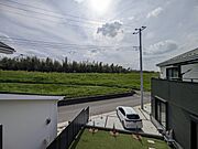 ゆったりとした緑地の多い立地ならでは！緑に包まれた環境です。 