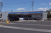 ローソン白岡野牛店（250m）