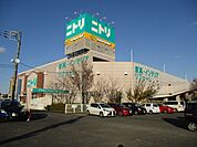 ニトリ大宮バイパス店（810m）