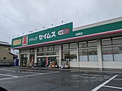 ドラッグストアセイムス岩槻店（800m）