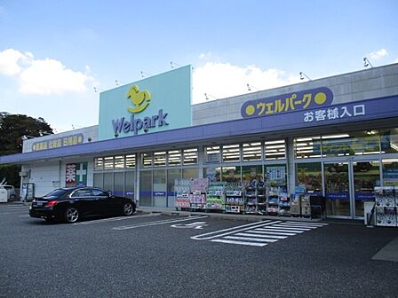 ウエルパーク大宮吉野町店(650m)