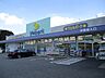 周辺：ウエルパーク大宮吉野町店（650m）