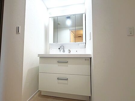化粧台はやっぱり色が一番。シャワーヘッド付きの収納充実タイプです。 