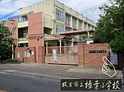 枚方市立樟葉小学校まで482ｍ