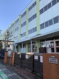 [周辺] 葛飾区立新宿小学校 徒歩11分。 820m
