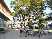 森公園まで徒歩５分（４９０ｍ）