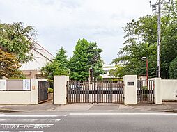 [周辺] 松戸市立第一中学校（910m）