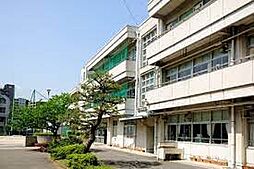 [周辺] 【中学校】横浜市立岡野中学校まで775ｍ