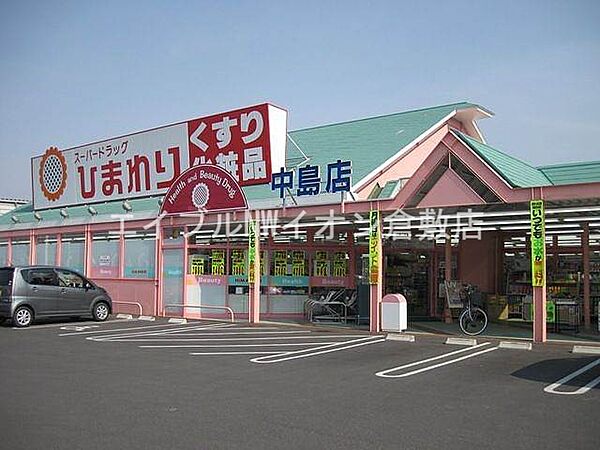 画像26:スーパードラッグひまわり中島店 1007m