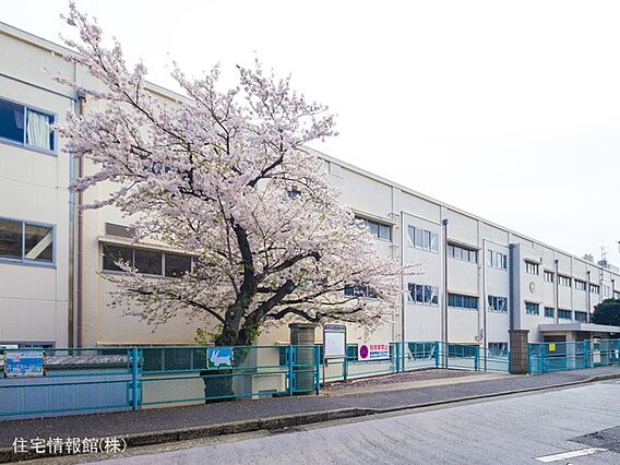 横浜市立富岡小...