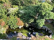 お庭に池があります。