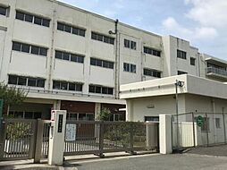 [周辺] 横浜市立新橋小学校まで1193m