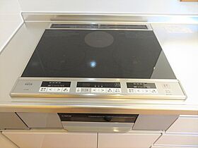 ティエード　マロン　Ａ 201 ｜ 栃木県栃木市平井町（賃貸アパート1LDK・2階・54.13㎡） その26
