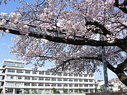 [周辺] 【中学校】武蔵野市立 第一中学校まで977ｍ