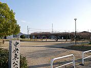 中央東公園中央東公園 1150m