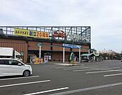 舞鶴港 とれとれセンター 350m