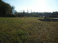 茨城県石岡市南台1丁目3524-1：物件画像