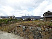 現地写真