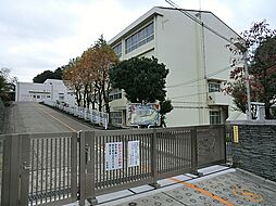 [周辺] 横浜市立藤が丘小学校　徒歩12分（約950m）