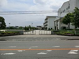 [周辺] 加須市立花崎北小学校　徒歩5分（約330m)