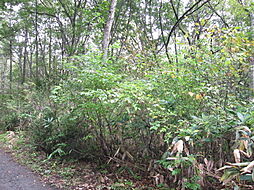 野尻高原大学村、土地1047平米
